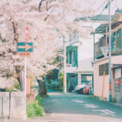 《菊花王朝：两千年日本天皇史》作者分享会举办