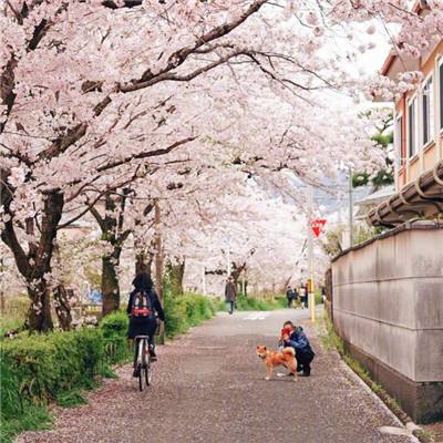 立即恢复日本水产进口?中方回应