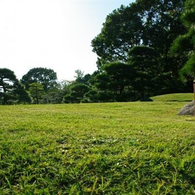 安徽黄山市黄山区：健全“点单式”服务体系推进新就业群体融入基层治理