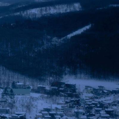 广西深化殡葬改革 节地生态安葬备受认可