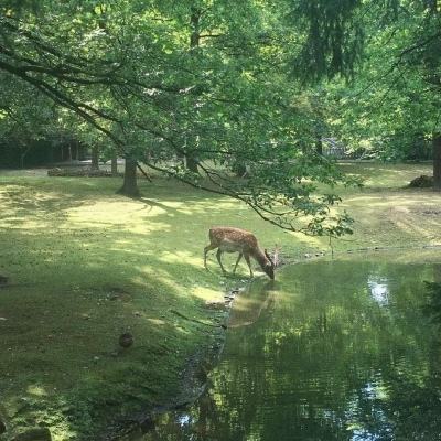 04版要闻 - 汇聚共襄强国建设、民族复兴伟业的磅礴力量