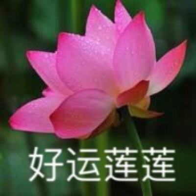 多地回应超龄农民工就业问题