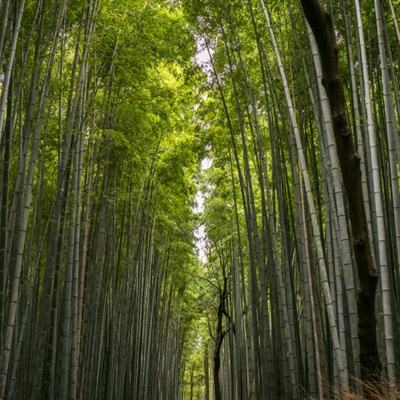 短视频发展中自律与创新同样重要